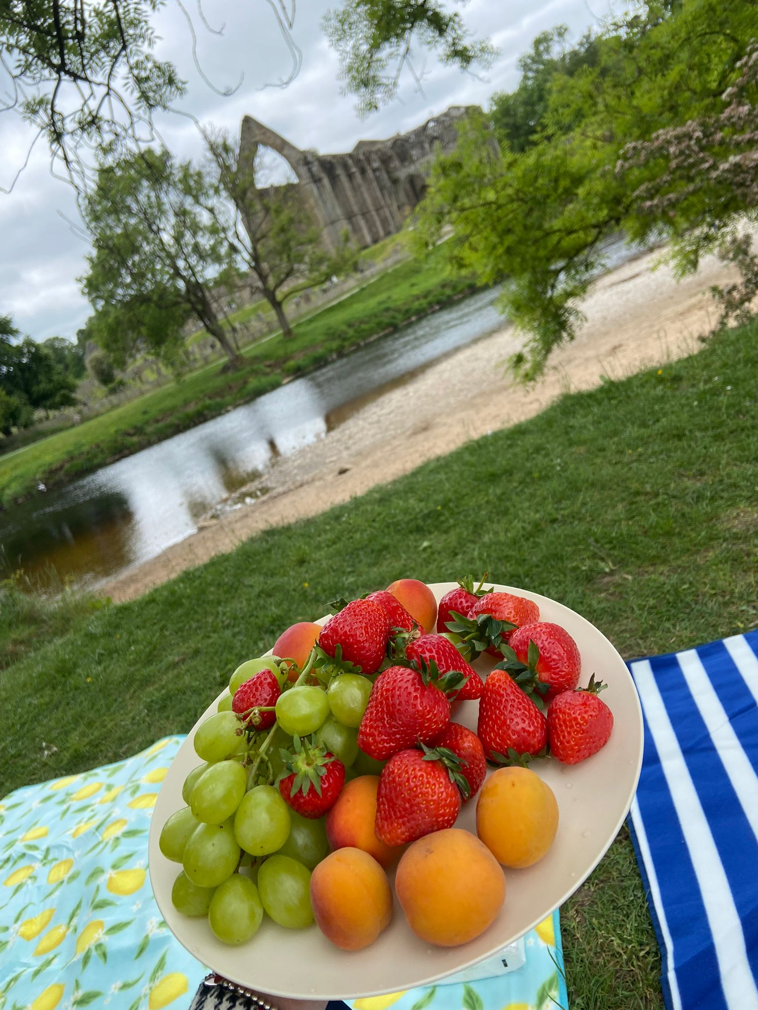 WhatsApp Image 2026-01-28 at 11.29.03